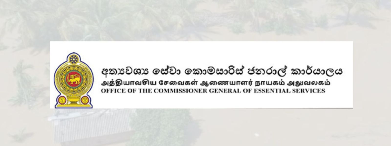 Services And Schools Resume As Normal